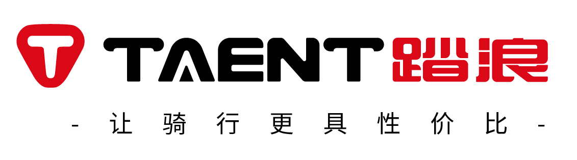 天津踏浪科技股份有限公司